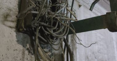 المصرية للاتصالات ترفع كفاءة كابينة تليفون بحدائق القبة استجابة لليوم السابع