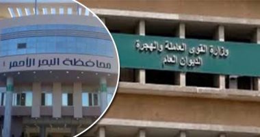 القوى العاملة بالمحافظات توفر فرص عمل بأجور مجزية للشباب لمحاربة البطالة.. البحر الأحمر تعلن عن الحاجة لـ"أمن وحراسة" و"عمال نظافة".. وتعيين 198 شاباً منهم 10 من ذوى القدرات بأسوان.. و450 فرصة متاحة بالغربية