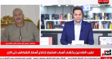 نقيب الفلاحين يكشف لتليفزيون اليوم السابع سر ارتفاع سعر الطماطم وموعد انخفاضه