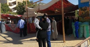 رئيس مدينة ملوى بالمنيا: لم نتلق أى شكاوى بشأن جولة الإعادة لانتخابات النواب 