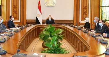 السيسي يوجه بالبدء الفورى فى إنشاء مراكز تجميع مشتقات البلازما بمصر