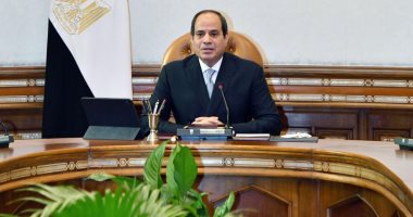 السيسى: تعاملنا مع أزمة كورونا منذ البداية بشكل متوازن.. فيديو