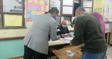 بيان إحصائى للجنة 3 بحوش عيسى بالبحيرة: علاء قريطم 1032 صوتا وعلى الدمينى 124