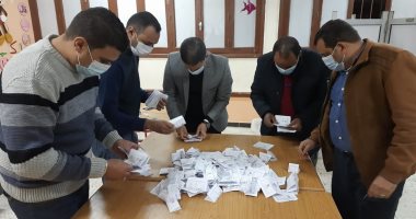 اللجنة العامة بالمحمودية بالبحيرة.. الجاهل 61419 صوتا والنحال وشاور 56 ألف