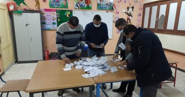 الملاوى يحصل على 32 ألف صوت مقابل 31 ألفا لـ"ضيفى" فى الدائرة الرابعة بأسوان