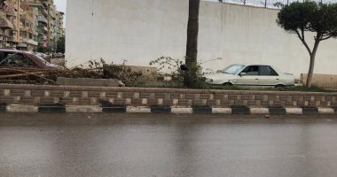 طقس الدقهلية الآن سيئ وزيادة سرعة الرياح وهطول أمطار خفيفة.. صور