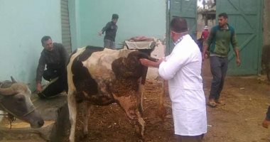 بيطرى دمياط ينظم قافلة طبية مجانية بقرية العرايضة كفر البطيخ 