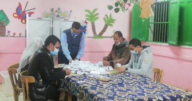 اللجنة العامة بدمنهور بالبحيرة.. الطنيخى 55 ألف صوت وسناء برغش 54 ألفا