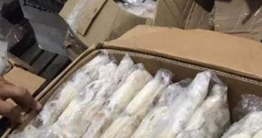 ضبط 110 كيلو أسماك مجمدة منتهية الصلاحية فى أسواق أجا بالدقهلية 