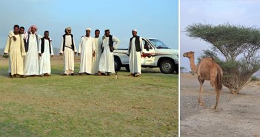 الأمطار تعيد الحياة لأودية حلايب وشلاتين.. الأخضر يكسو الصحراء والخير فى كل مكان.. والمراعى توفر المأكل والمشرب للماشية.. والقبائل تنظم رحلات ترفيهية إلى قلب الصحراء.. والشباب: فرحتنا كبيرة.. صور