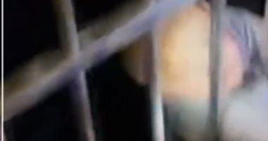 Top7.. سقوط طفل صينى من الدور الـ13 وبقائه حيا وصلاح بقائمة أفضل لاعب بـ2020