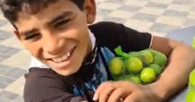 تقرير الطفولة: طفل الليمون تعرض للخطر لعدم إلتحاقه بمراحل التعليم 