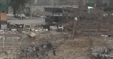 استجابة لسيبها علينا.. القاهرة تطهر مخر السيل بزهراء المعادى استعدادا للشتاء