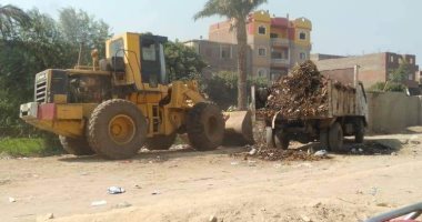 حملات نظافة وصيانة لأعمدة الإنارة بمحافظة المنيا.. صور 