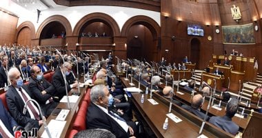  اختصاصات لجنة الشئون الخارجية والعربية والإفريقية بمجلس الشيوخ