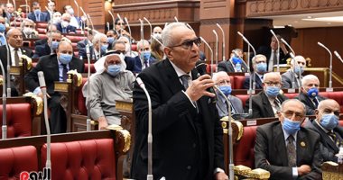 وكيل الشيوخ يرفض تقييد اختصاصات المجلس بالنص على الدور التشريعى والرقابى