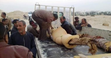 حكاية مومياوات الإله سوبك بخبيئة قنا..21 تمساحًا عبدها الفراعنة لإتقاء شرها.. صور