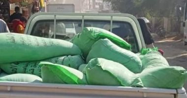 ضبط دقيق بلدى مدعم قبل بيعها بالسوق السوداء فى بنى سويف