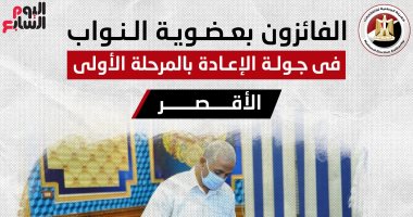 أسماء الفائزين بجولة الإعادة بانتخابات النواب بـ3 دوائر فى الأقصر.. إنفوجراف