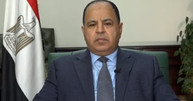 وزير المالية: الاتصالات والأدوية شهدت نموا إيجابيا خلال جائحة كورونا