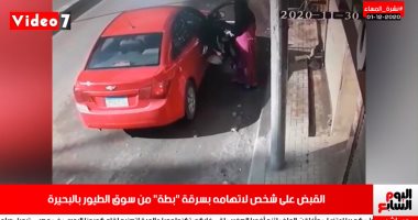لقطة اليوم..تفاصيل التحقيق مع محام سرق بطة بالبحيرة بنشرة تليفزيون اليوم السابع