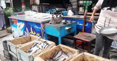 ضبط 5 أطنان أسماك مدخنة مجهولة المصدر داخل ثلاجة في عين شمس