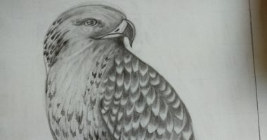 أبيض وأسود وألوان.. وفاء تشارك "صحافة المواطن" بموهبتها في الرسم