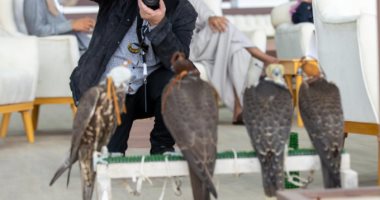 منافسات ساخنة وأجواء حماسية فى مهرجان الملك عبد العزيز للصقور.. ألبوم صور