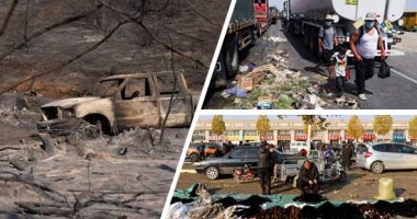 العالم هذا الصباح.. إغلاق طرق بعد أعمال عنف للمزارعين فى بيرو للمطالبة بتحسين أجورهم.. تجدد الحرائق فى غابات كاليفورنيا والنيران تلتهم مساحات واسعة.. استمرار تجارة فراء المنك رغم القلق العالمى من وباء كورونا