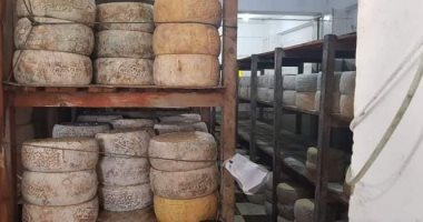 ضبط 13 طن جبنة ومواد تصنيع مجهولة المصدر داخل مصنع بكفر الزيات