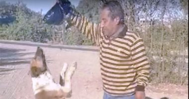 تفاصيل رصد 30 ألف جنيه مكافأة لمن يرشد عن قاتل "كلب" بقنا.. صاحبه: اشتريته بـ50 جنيها من 3 سنوات.. كان حارسا وصديقا وفيا وحزنت على موته كما لو كان إنسانا.. ويؤكد: لم يؤذِ أحدا والتخلص منه رسالة لى.. فيديو وصور