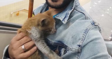 شاب ينقذ قطة من بين قضبان مترو الأنفاق بمحطة هارون.. صور