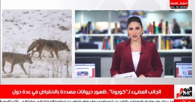 نشرة الرابعة من "تليفزيون اليوم السابع"..تفاصيل صادمة في انتحار عروس الجيزة.. مراسم تنصيب مختلفة للرئيس بايدن بسبب فريقه.. انتشار كورونا يعيد الحيوانات المنقرضة للغابات.. وأحمد الشيخ يستقر بمحطة بيراميدز