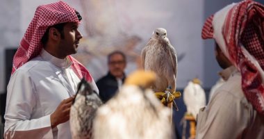 يا عاشقين الطير.. ملايين الريالات للصقر الفائز فى مهرجان الملك عبدالعزيز.. ألبوم صور