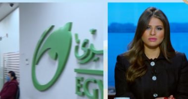 التأمينات تكشف استفادة قطاع الأعمال من إعفاءات عن أصل مستحقات بـ6مليارات جنيه