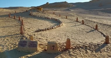 اتحاد خبراء البيئة العرب: إقامة أول طريق أخضر بمحمية وادى الحيتان بالفيوم