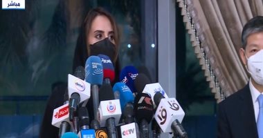 القائم بأعمال السفير الإمارتى: الإمارات متضامنة مع مصر وشحنة اللقاحات هدية
