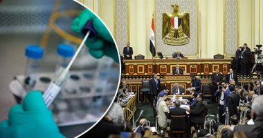 تحذيرات برلمانية من الشائعات عبر مواقع التواصل بشأن لقاحات كورونا.. "صحة البرلمان": كارهو الوطن يروجون معلومات مغلوطة وأكاذيب لخلق حالة من الهلع.. ويؤكدون: كافة البيانات متاحة للمواطنين من مصادرها الرسمية