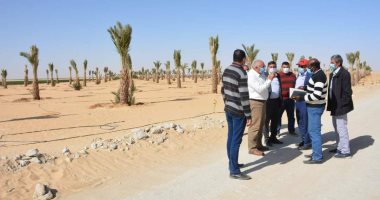 محافظ الوادي الجديد يتفقد مشروعات زراعية على مساحة 9 آلاف فدان بسهل بركة