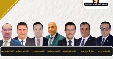 تنسيقية شباب الأحزاب تطلق ورش عمل لتدريب النواب على العمل البرلمانى