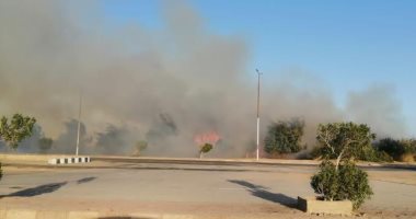إخماد حريق بحشائش بمدخل مدينة رأس غارب الجنوبى دون إصابات.. فيديو