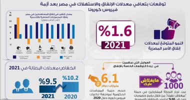 "فيتش" تتوقع وصول معدلات نمو إنفاق الأسر المصرية فى 2021 لـ1.6%.. إنفوجراف