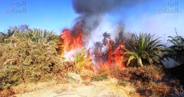 السيطرة على حريق في زراعات القصب بقنا