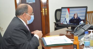 وزيرا التنمية المحلية والتخطيط يستعرضان مستجدات مبادرة "شغلك فى قريتك" 