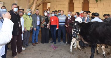 جامعة أسيوط تستقبل 595 مريضا من أبناء قرية عرب الكابلات وتقدم 4145 خدمة بيطرية