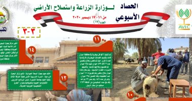 الزراعة × أسبوع.. الإمارات توافق على بدء استيراد سلالات مصرية للأغنام والماعز 