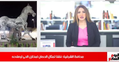 أين تمثال حصان الزقازيق؟ محافظ الشرقية يحل اللغز في تليفزيون اليوم السابع