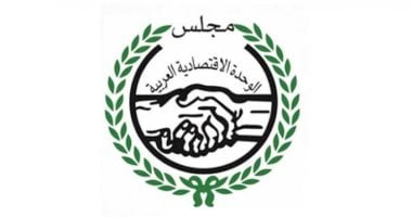 التعاون الدولى تؤكد دور الاتحادات العربية النوعية لوضع صيغ للتكامل الاقتصادى