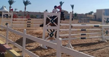 تعرف على الفائزين ببطولة الجمهورية للفروسية لقفز الموانع بشرم الشيخ.. صور