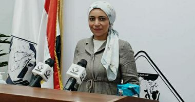 عضو تنسيقية الأحزاب: برامج الحماية الاجتماعية للدولة تشمل الدعم التأهيلى للمرأة